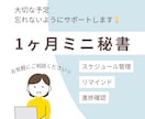 1ヶ月ミニ秘書を承ります 仕事の進捗確認、大切な予定のリマインドします! イメージ1
