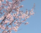 東北訛りでゆる〜っとお話お聞きします 周りに話せないけど誰かに話したい！という方ぜひご依頼ください イメージ1