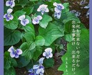 病気／孤独／心の傷／寄り添いHANAチャットします 私も療養中！闘病中・療養中・入院中・傷ついた人へ癒しチャット イメージ4