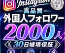 インスタのフォロワー1000人増やします オプションにてフォロワー増加人数調整可能です！ イメージ2