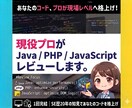 現役プロがJava/PHPコードレビューします 「動けばいい」を卒業。プロの知見で、選ばれるコードへ！ イメージ1