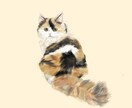ご自宅で一緒に住んでるネコのイラストを制作します ご自宅ネコちゃんイラスト（お試し版：肩より上・顔アップ） イメージ4