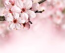 2ヶ月以内の購入のリピーター様用メニューとなります いつもありがとうございます♡感謝の気持ちでいっぱいです♡ イメージ5