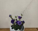 あなたのお話是非聞かせてください。質問もします 人の話を聞く事が得意な性質の男性でございます。 イメージ3