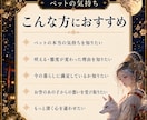 大切なペットの気持ちと本音を霊視で読み解きます ペットの本音や悩む行動を鑑定/白狐神託で愛と絆を深く導く イメージ3