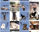 ペットを飼われてる方にオススメします 写真をイラスト化したLINEスタンプです！ イメージ2