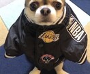 その気持ち、わかります！私も同じ様に悩んでます 運気を上げて解決！人間関係、恋愛、仕事、病気、介護（死別） イメージ1