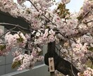 仕事の愚痴やプライベートの愚痴等、何でも聴きます 元全国転勤型の総合職の女性が何でも聴きます イメージ1