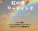 虹の橋リーディング｜ペットの気持ちを霊視します 大切な家族の“魂の声”を優しくお伝えします イメージ1