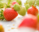 貴方の命の色をお伝えします 貴方の色は産まれた時から決まっています。 イメージ2