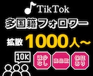 あなたのTikTokのフォロワーを増やします 全世界にあなたをプロモーションして1000人以上増加！ イメージ1