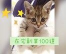 在宅、副業100選教えます 特別に大公開しちゃいます！！！ イメージ1