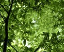 精神科、心療内科を受診する勇気がもてない方助けます 認知行動療法-カウンセリングであなたの自己肯定感を高めます イメージ1