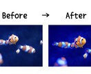 なんでも写真撮影します ノイズだらけの夜は卒業。闇を『ドラマチックな光』に変えます イメージ4