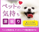 ペットの【気持ち】心理の裏まで深堀りして占います ☆大手の電話占い会社所属鑑定士が、あなたの心を軽くします☆ イメージ1