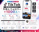 TikTokのフォロワーを増やします 最安値⭐️TikTokの収益化をサポートいたします！！！ イメージ5
