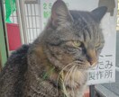 自己肯定感を高めて、心健やかにします 話を聞いてほしい、理解者がほしい、アナタの素敵を見つけます。 イメージ3