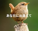 ひきこもり・生きづらさを抱えるあなたのお話聴きます 元当事者が聴くチャット相談【1日チャット・メッセージ無制限】 イメージ4