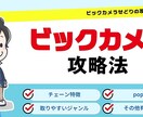 動画でビックカメラ仕入れの攻略法　を教えます 視聴した次の日からビックカメラで仕入れできるようになる！ イメージ1