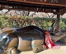 3月まで！！京都市の北野天満宮に代行参拝します ポジティブ覇気で大学受験に臨めるよう祈願絵馬奉納します！ イメージ4