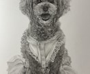 鉛筆画でリアルな絵を描きます ペットや風景の絵など思い出作りに イメージ1