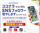 SNSのフォロワーを増やすサービスの裏側を教えます 業者からのフォロワー購入は損！外注せずに自分でやりませんか？ イメージ1