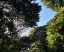 ちょっとでも話したい！そんな時の話し相手になります 夜・深夜のあなたの気持ちを吐き出す場所を作りました！ イメージ2