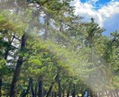 ２４時間あなたの味方です！何でも寄り添います 電話はちょっと…という方にオススメです⭐︎ イメージ1