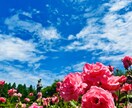 あなたの話を聞きます 悩み、相談、愚痴、惚気、とにかく話を聞いて欲しい。なんでも イメージ1
