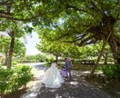 結婚式の見積もりを安くする方法を教えます 結婚式場を決める際に悩まれる金銭問題をサポートします。 イメージ10