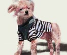 ペット(犬)のイラストを作成します わんちゃんの魅力たっぷりなイラストを描きます。 イメージ1