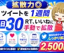 Twitterで1週間毎日30RT以上に拡散します 【拡散力◎】ツイートを1週間毎日30RT,いいねに手動で拡散 イメージ2