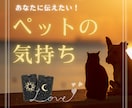 わかって！愛するペットの気持ち♡ヒーリングもします 受付停止中ですが、リピーターさんはDMでお問い合わせください イメージ1