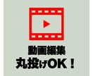ビジネス・エンタメ系特化！ 動画編集代行します ハイクオリティな編集サービスをご提供します！ イメージ1