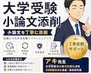 24時間以内返却！大学受験等小論文添削します プロの視点で「合格する論文」へ。再添削付きで試験直前でも安心 イメージ1