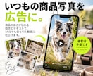 写真1枚からSNSで目を止める縦型動画を作ります 写真からAI動画を生成します！ イメージ8