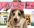 ペットのお話を聞かせて頂いてます うわさ話や自慢話など、気軽にお話下さい。 イメージ7