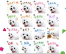 イラスト・写真からLINEスタンプ作成代行します 先着3名オープン価格|申請手順書つきで初めてでも安心 イメージ8