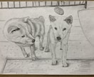 鉛筆でお犬さんを描きます お犬さんの思い出の写真を鉛筆画にいたします。 イメージ8