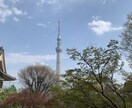 願望成就‼︎待乳山聖天様へ代理参拝します 引き寄せ体質の私が最大7日間代理参拝いたします イメージ2