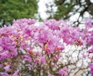 誰にも話せない悩みを否定せず30分お聴きします 話すだけで頭が整理され確実に次の一歩が見えます イメージ2