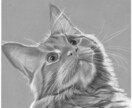 猫、犬等ペットの似顔絵をモノクロでリアルに描きます 鉛筆画、パステルなどで白黒の小動物を写真のように描きます イメージ6