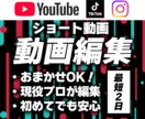 おまかせOK！高品質なショート動画を制作します 難しい知識は不要！現役プロが丸投げで高品質に仕上げます！ イメージ1