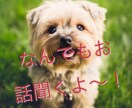 仲良くお話しします 20歳の現役女子大生とおしゃべりしたい方へ イメージ2