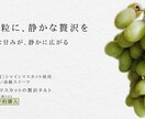 高級感ある食品バナー制作　売れる構成でします 農業経験を活かしたリアルな訴求で、購入につながるデザイン イメージ2