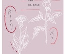 花言葉を添えて贈る相手をイメージした花を描きます 名前と花言葉に想いを込めて。心に届くメッセージ花ポスター イメージ2