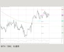 専業トレーダーになれたチャート設定をコピーできます 外国為替(FX)、クリプト、株価指数、ゴールド、原油などに イメージ7