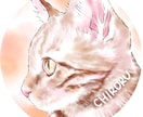 ふんわり可愛い♪水彩画風うちの子アイコン描きます オーダーメイドの愛猫イラスト♡癒し／ペット／似顔絵／SNS イメージ8