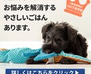 お試し4月限定【1枚1,000円】バナー制作します 思わずクリックしたくなるバナー。お気軽にご相談ください。 イメージ2