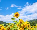 個人さま歓迎!オンライン 認知症 講座いたします 認知症を学びたい方必見!認知症とは?をお教えします! イメージ1